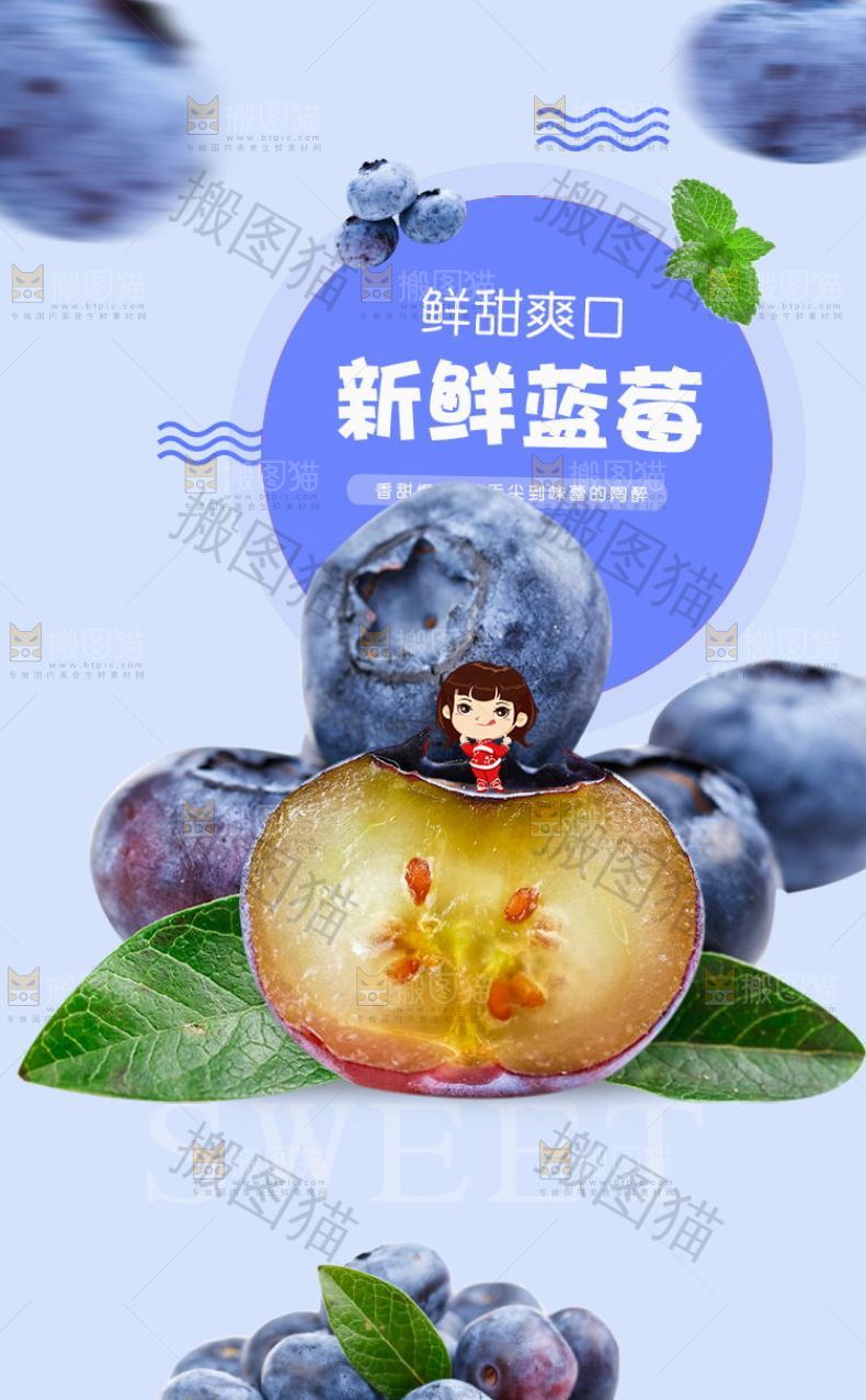 新鲜蓝莓详情页