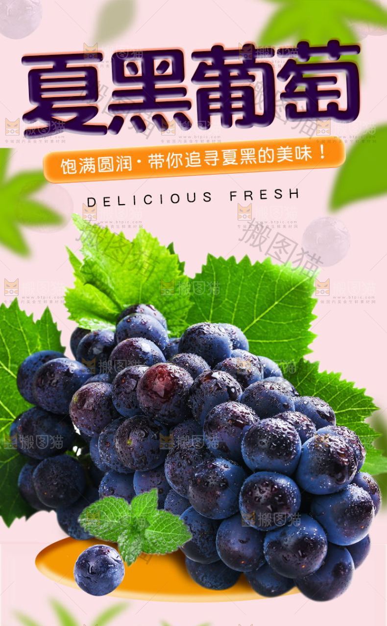 夏黑葡萄详情