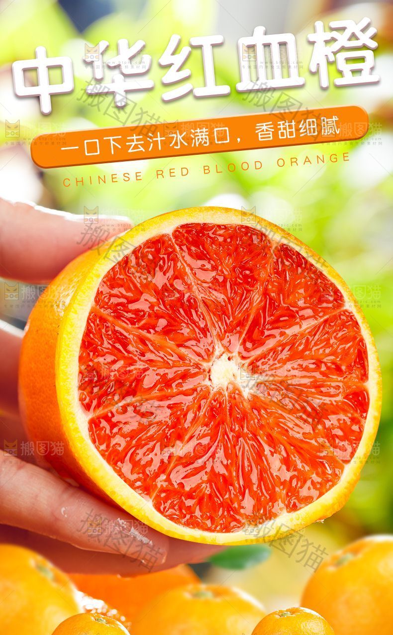 中华红血橙详情页设计