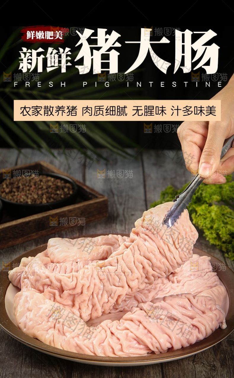 新鲜猪大肠详情