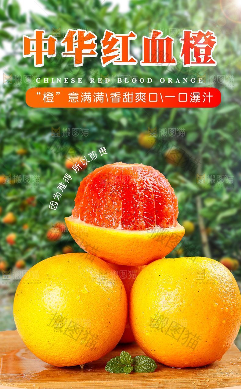 中华红血橙详情页设计