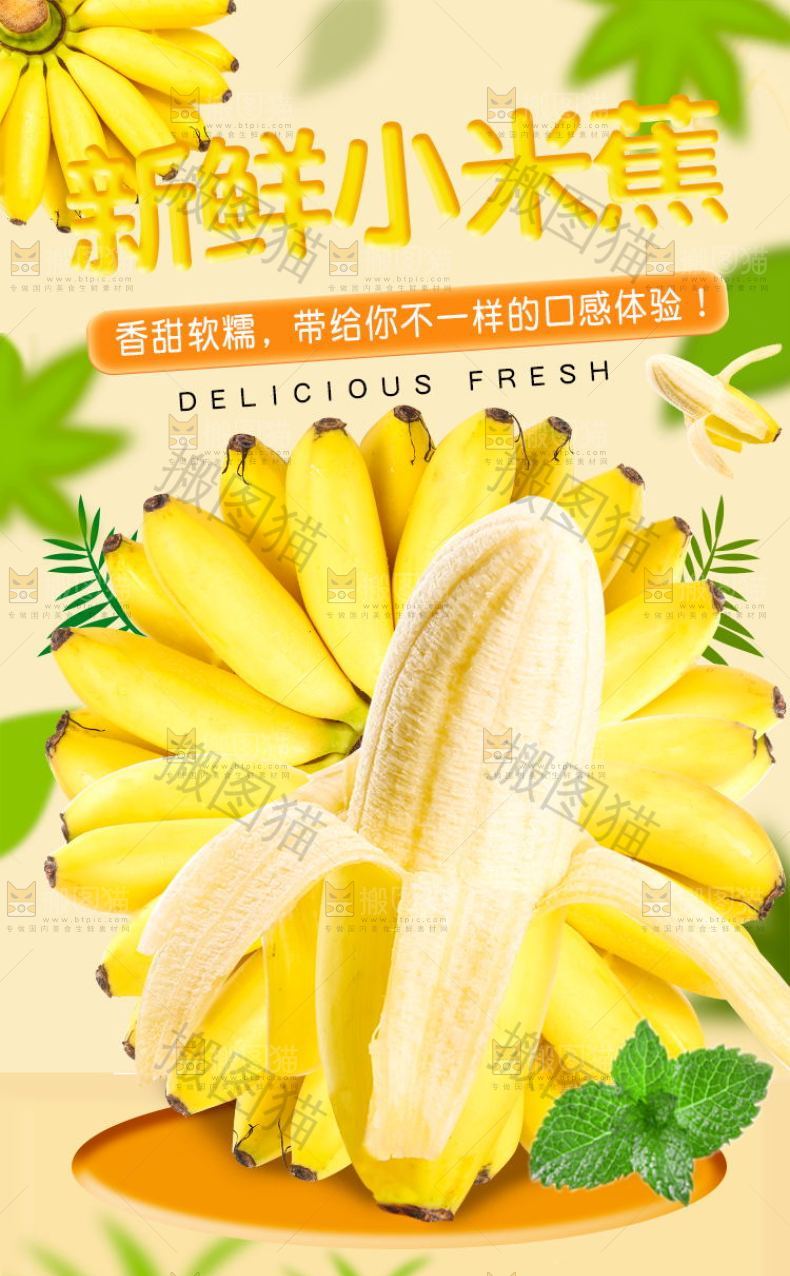 新鲜小米蕉详情页