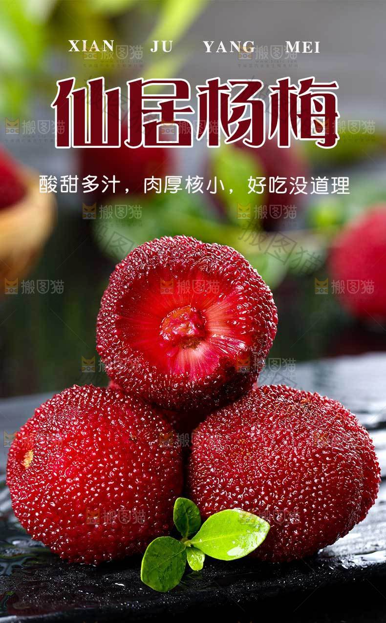 仙居杨梅详情