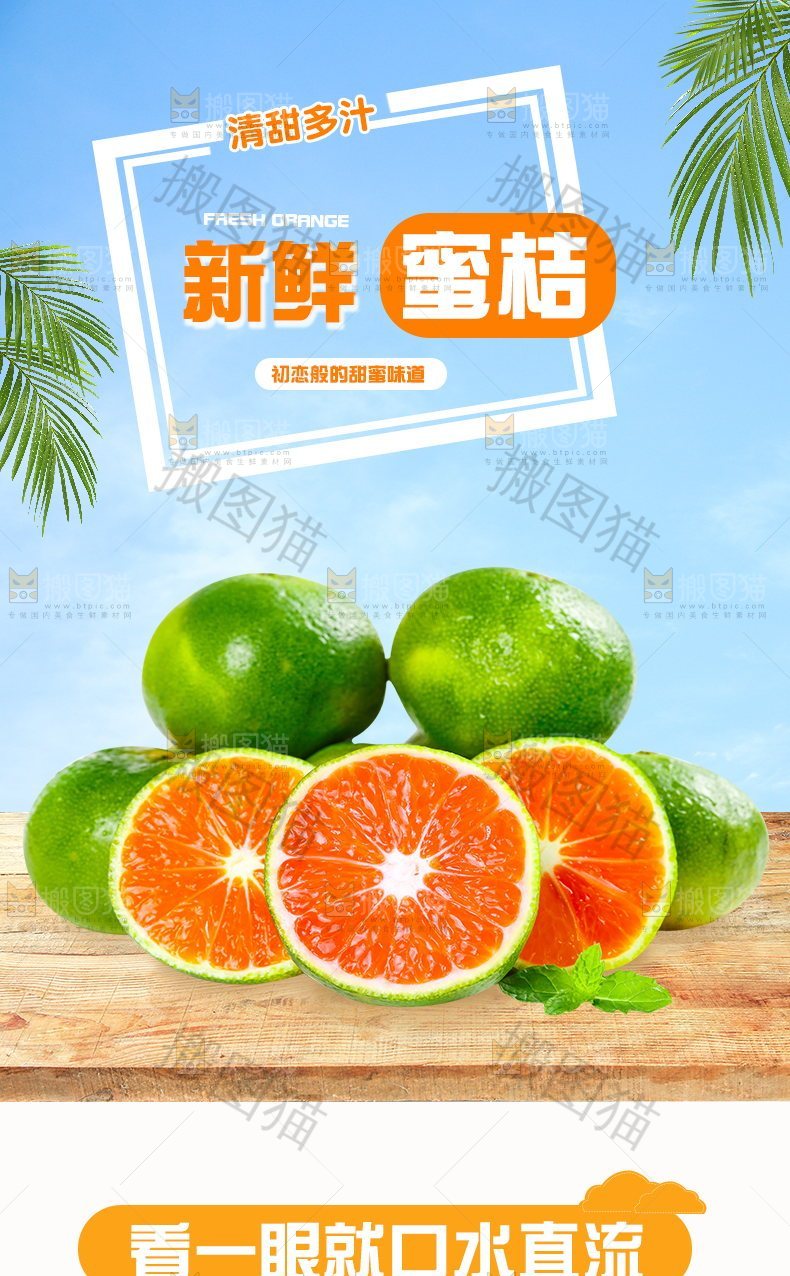 新鲜蜜桔