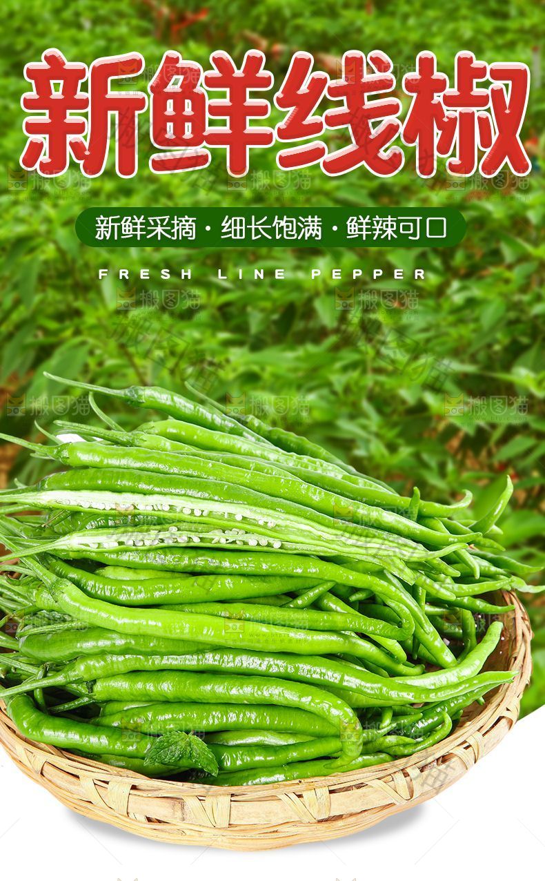 线椒详情页设计