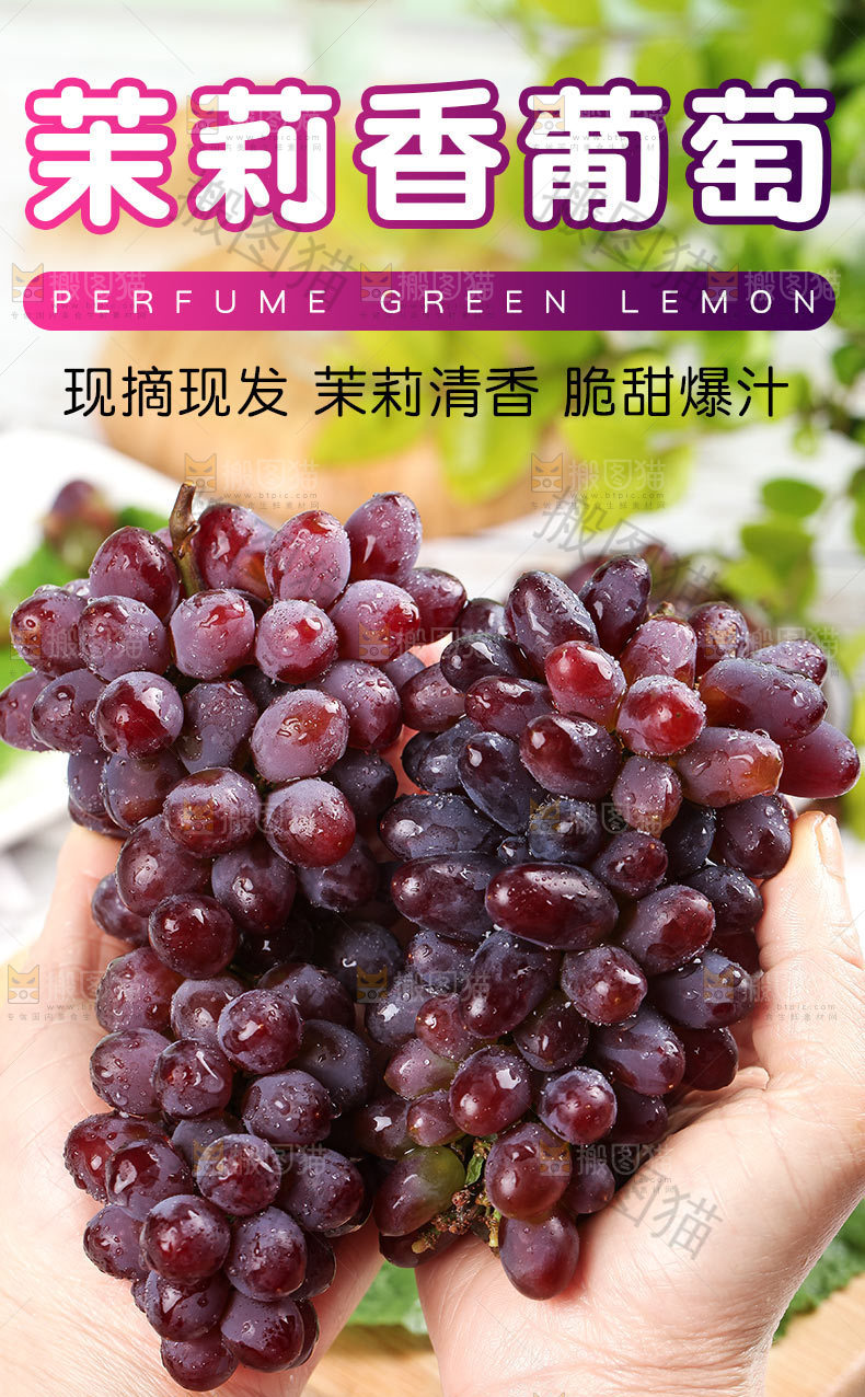 茉莉香葡萄详情