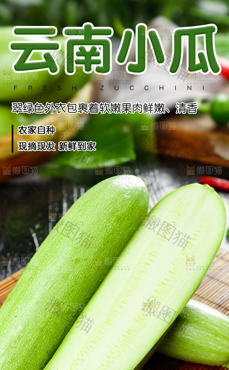 云南小瓜详情