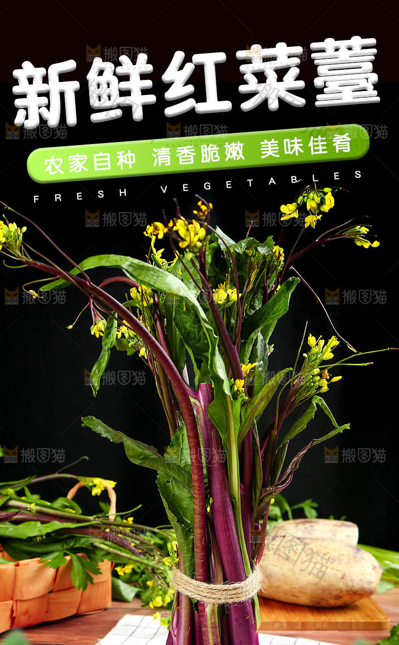 新鲜红菜薹详情