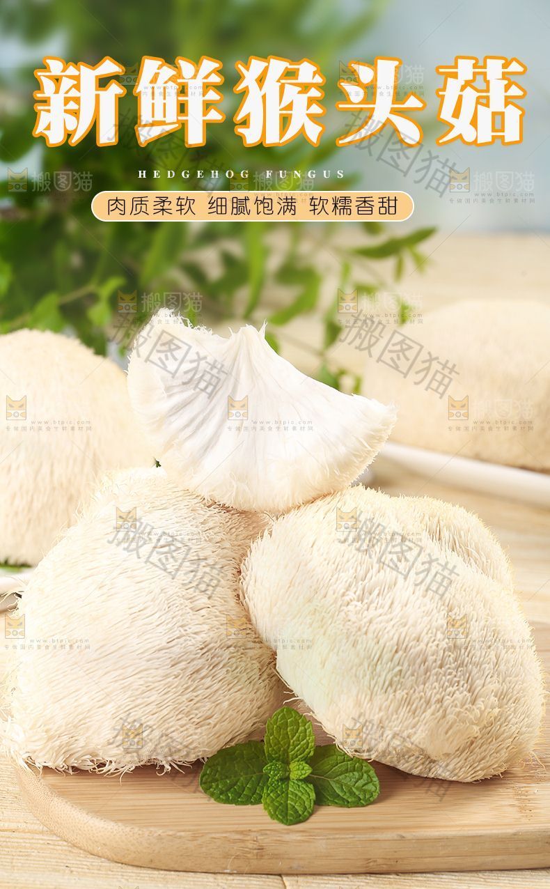 新鲜猴头菇