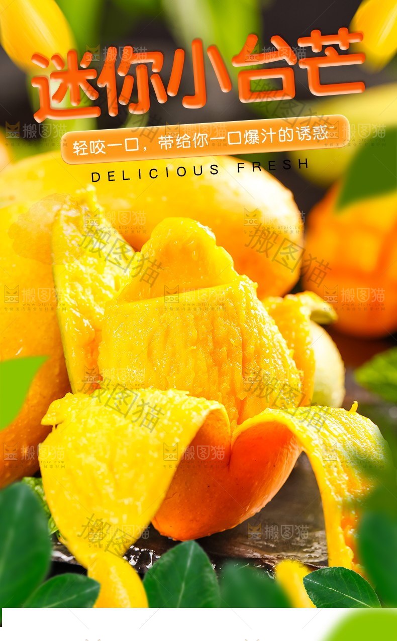 迷你小台芒详情