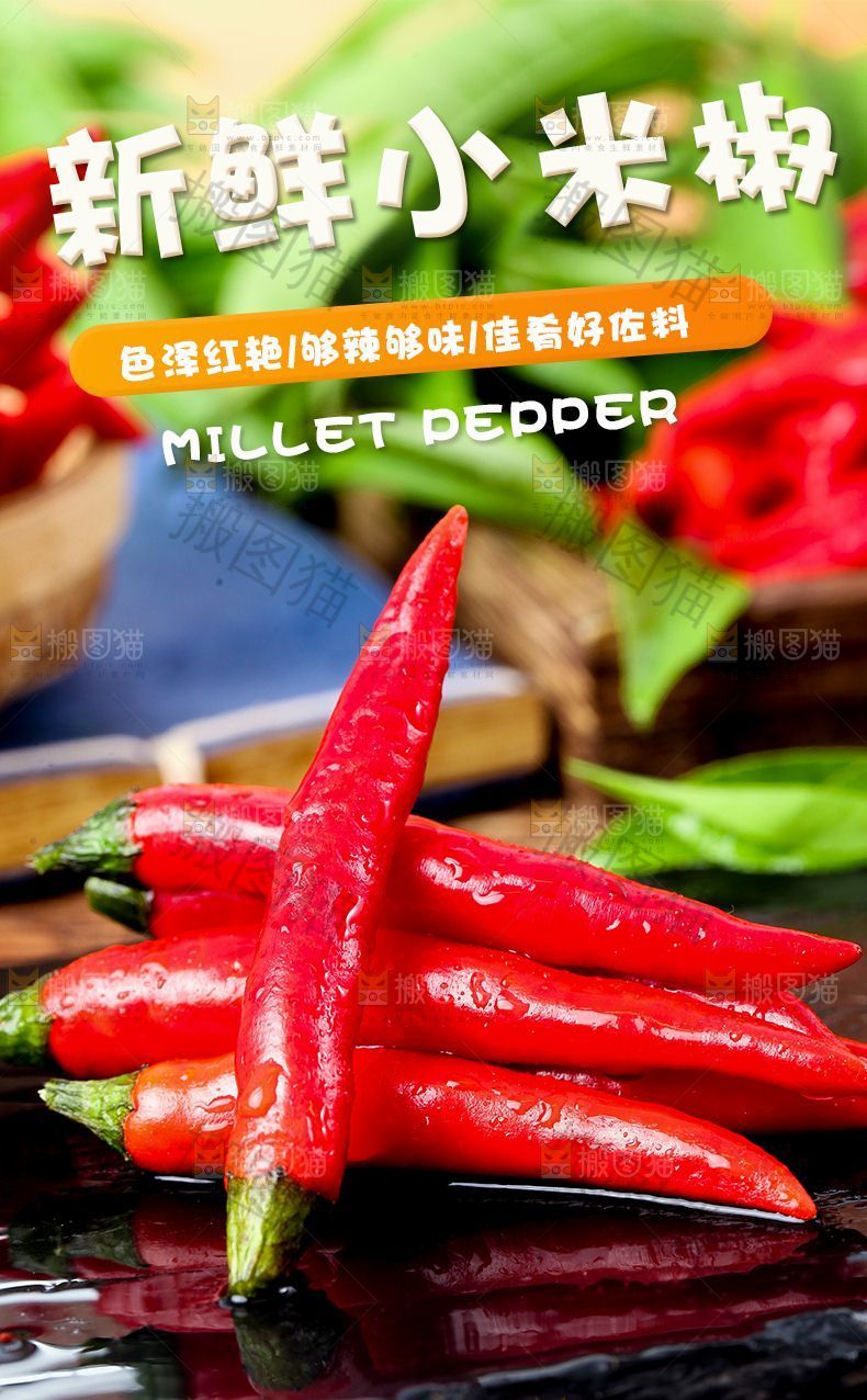 新鲜小米椒