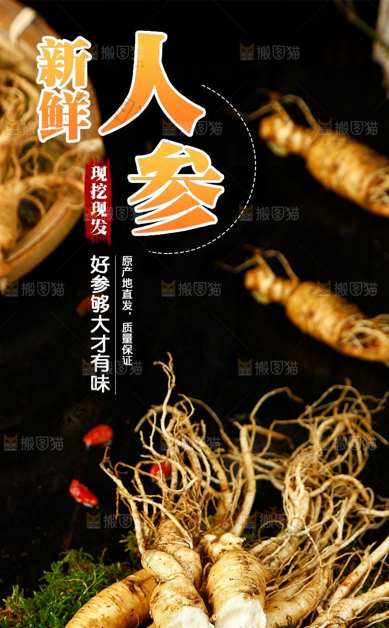  人参详情页设计