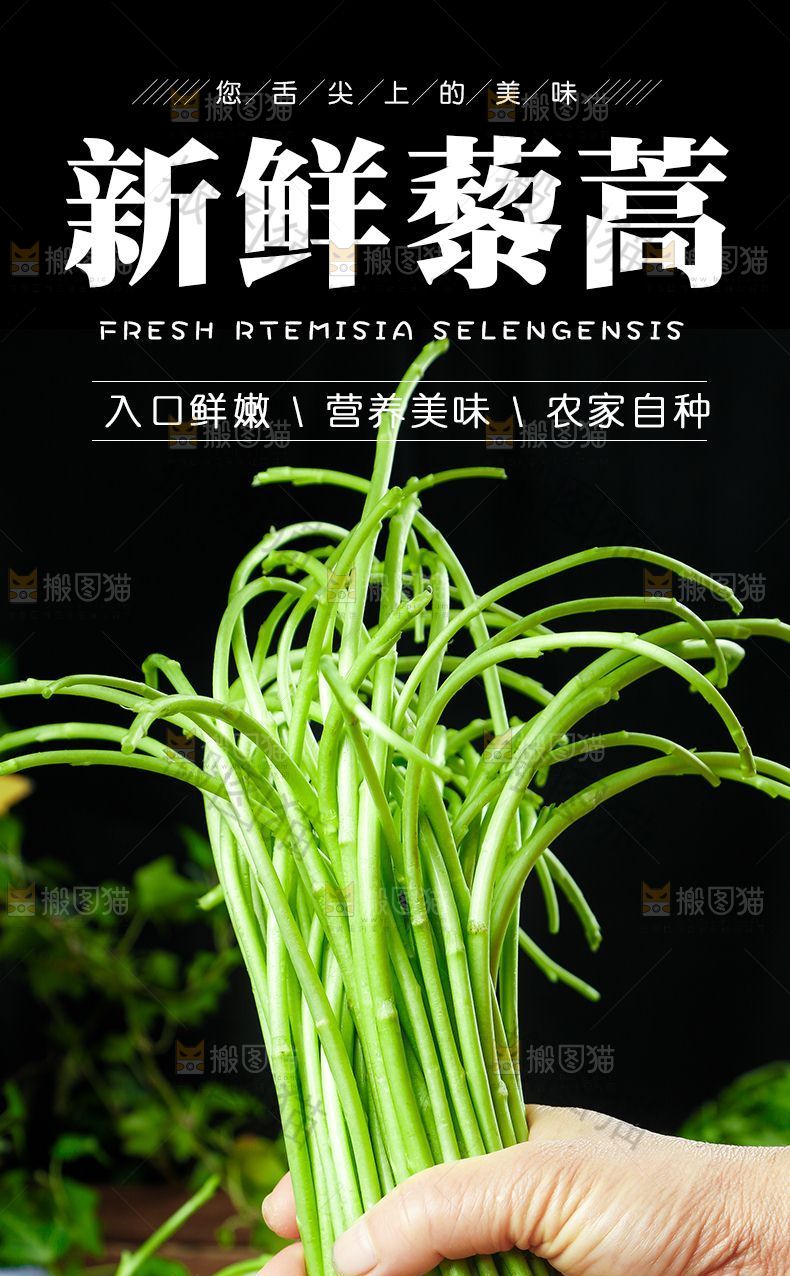藜蒿详情页设计