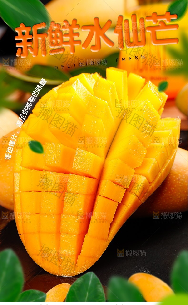 新鲜水仙芒