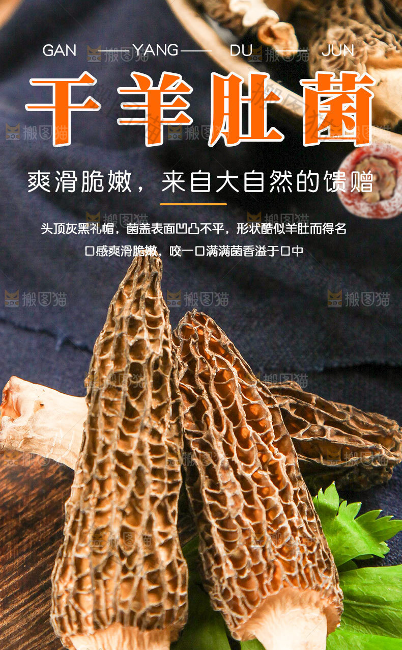 干羊肚菌详情页