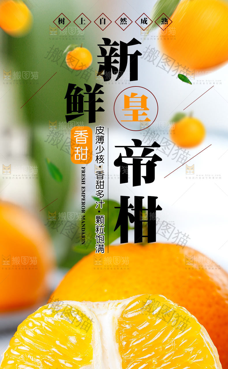 新鲜皇帝柑