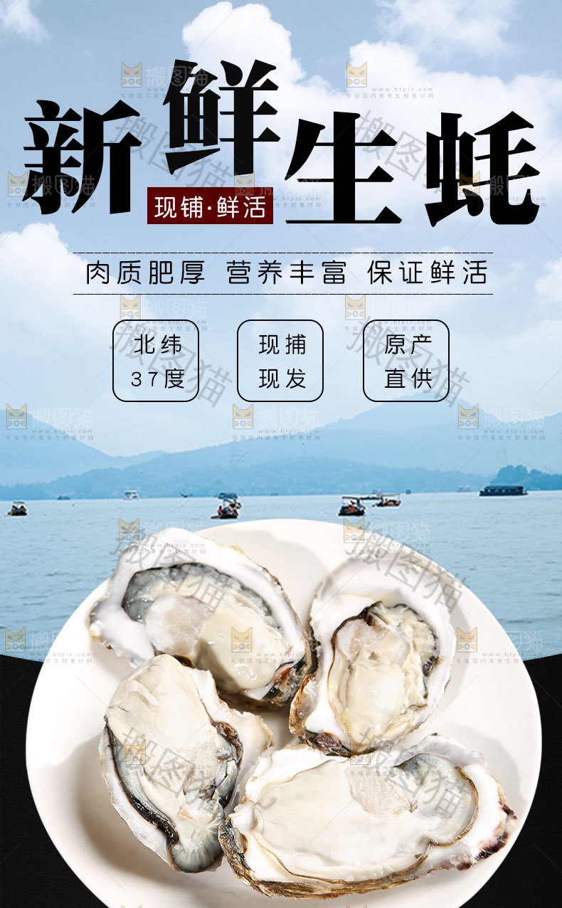 新鲜生蚝详情页