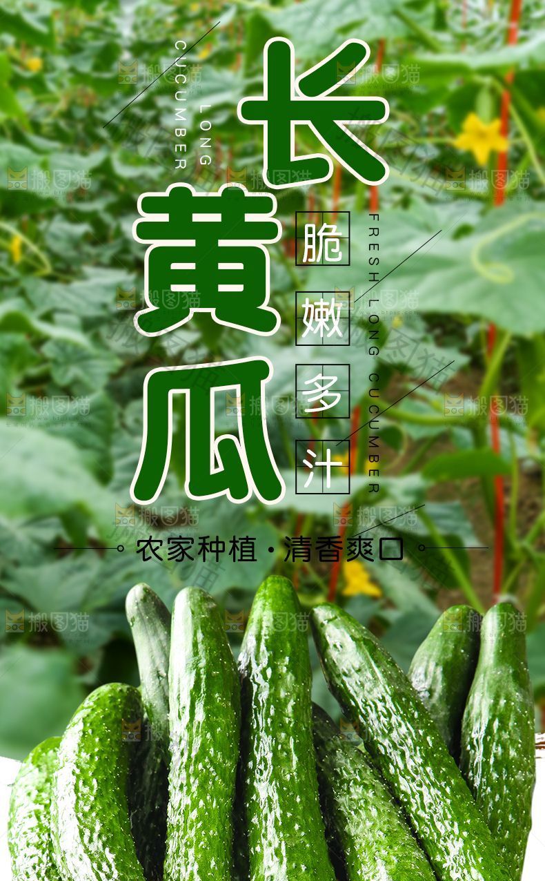 长黄瓜详情页设计