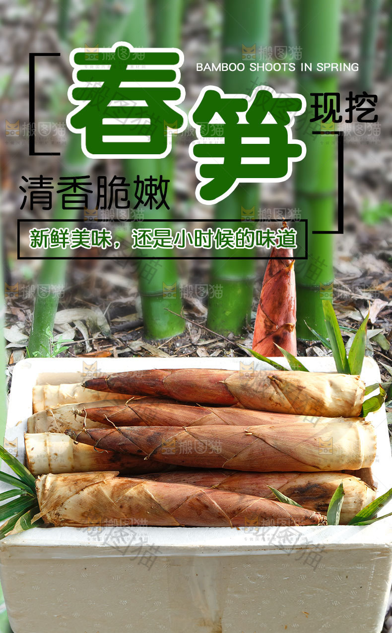 春笋详情页设计