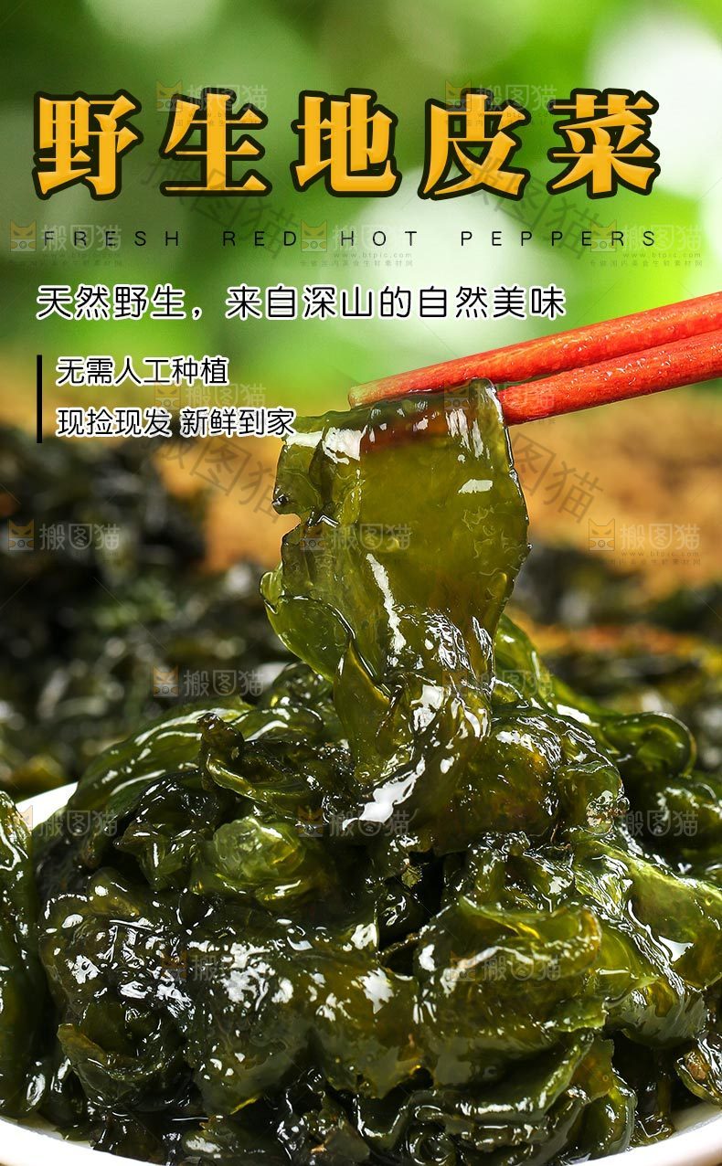 野生地皮菜详情