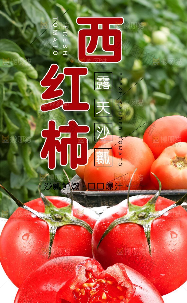 西红柿详情页设计