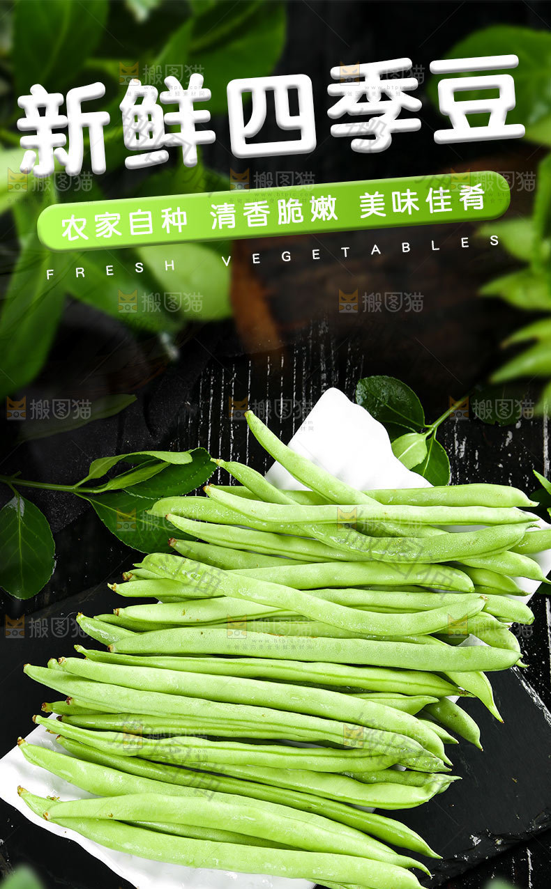 新鲜四季豆详情