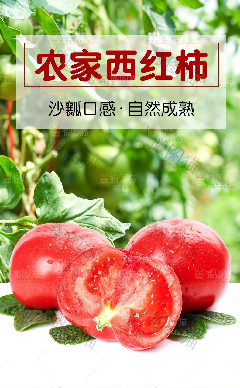 农家西红柿详情页设计