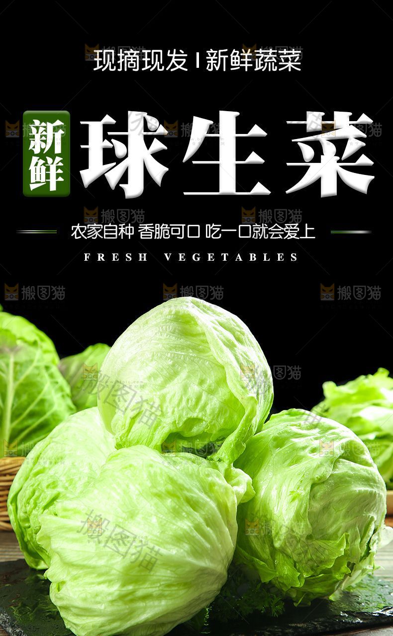 球生菜详情页设计