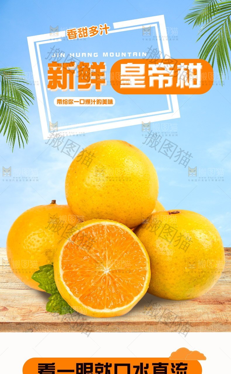 新鲜皇帝柑详情
