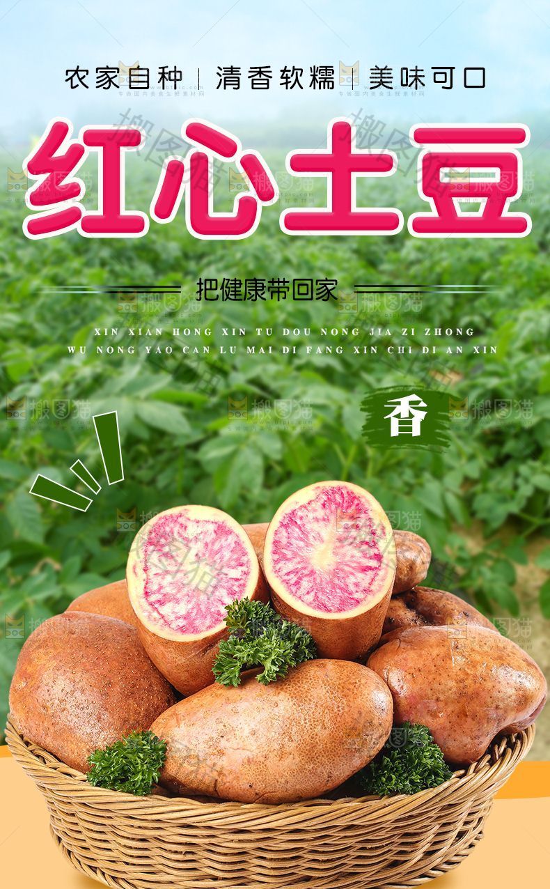 红心土豆详情页设计