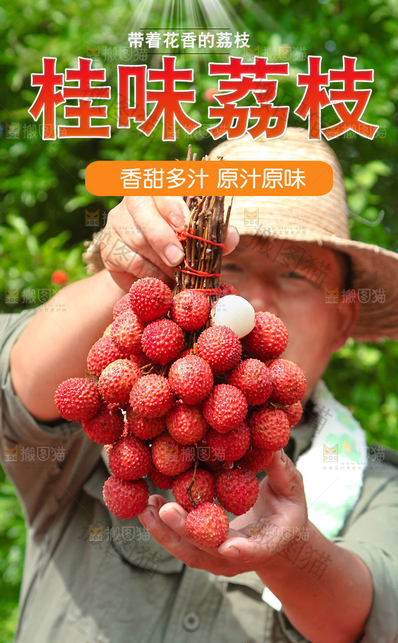 桂味荔枝详情页设计