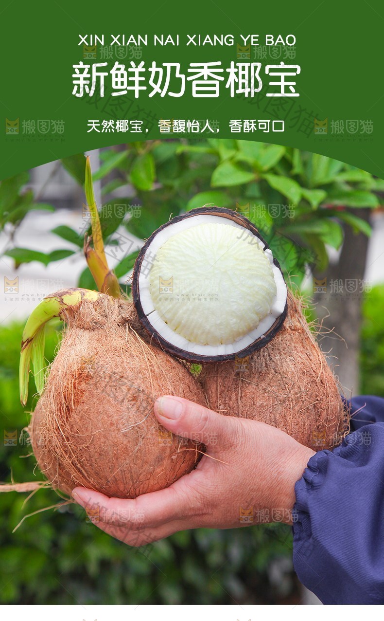 新鲜奶香椰宝详情页设计
