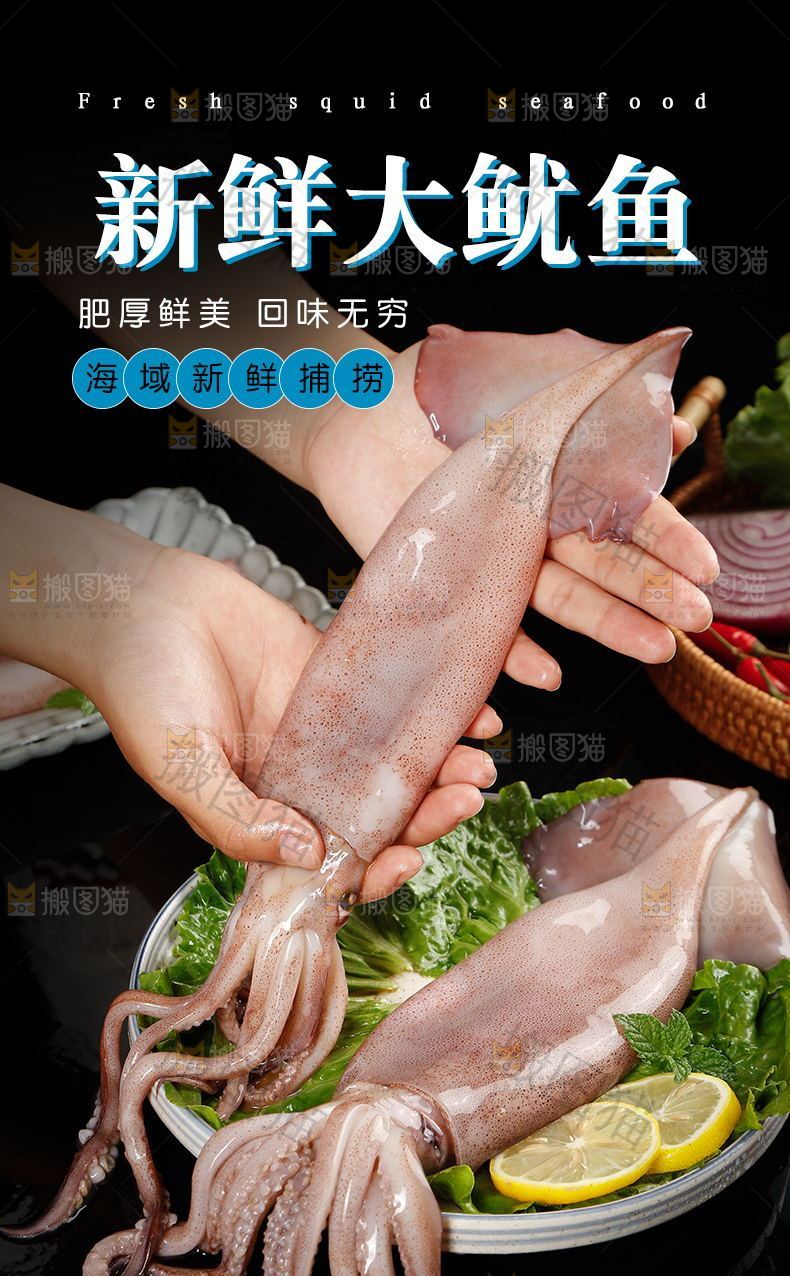 新鲜大鱿鱼详情页设计
