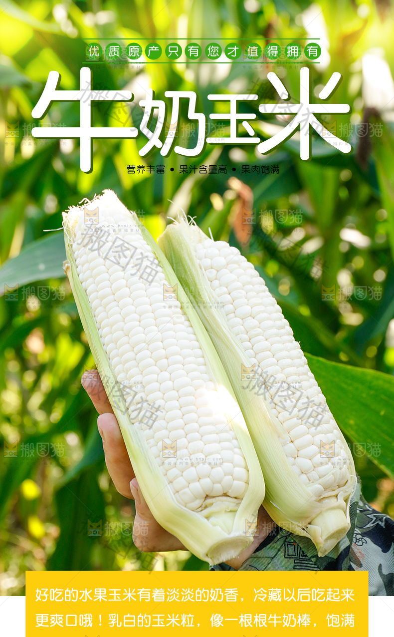牛奶玉米详情页设计