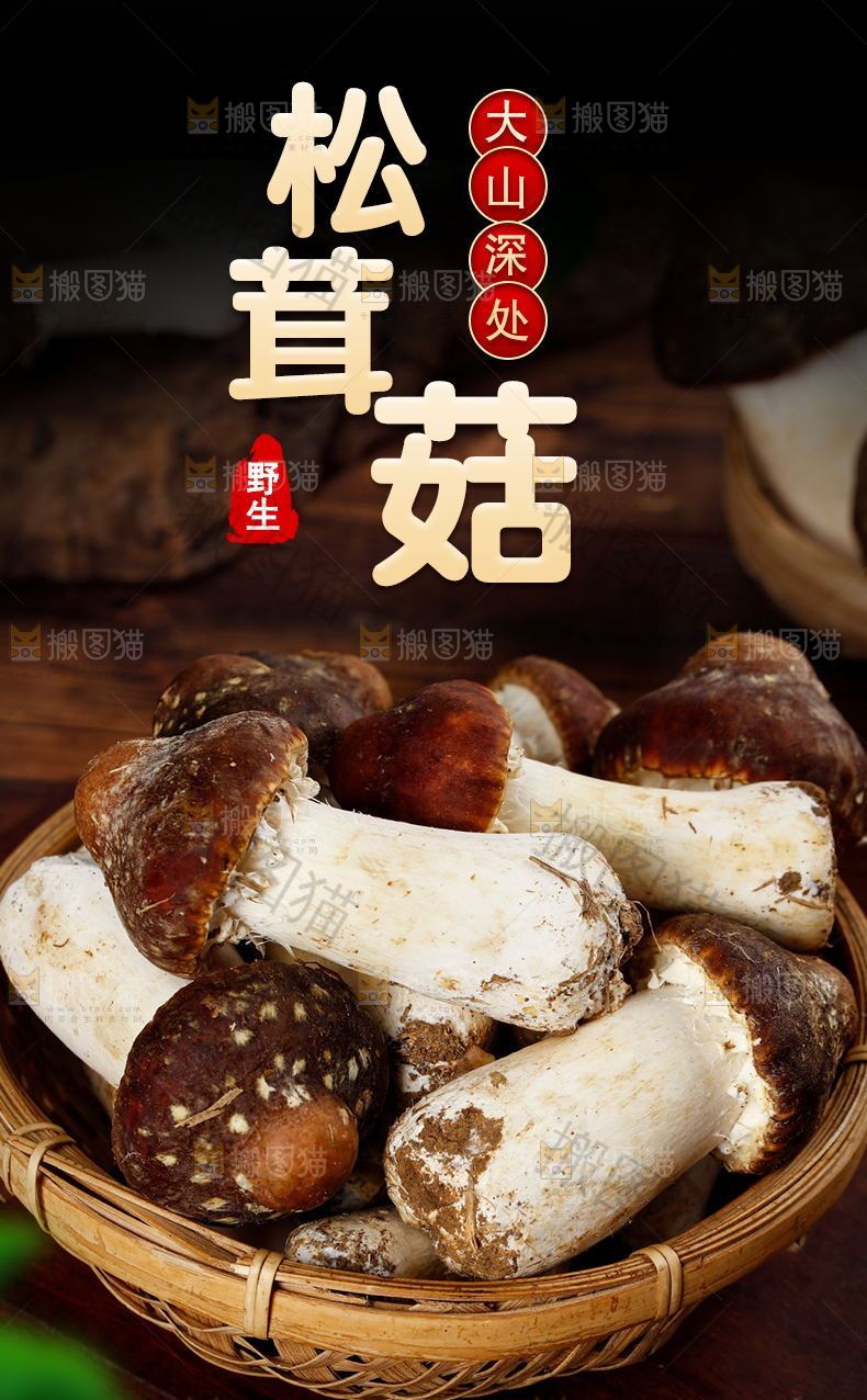 野生松茸菇详情页设计