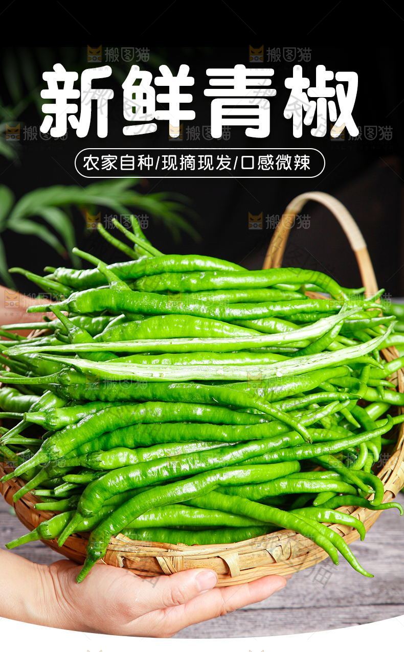 新鲜青椒详情页设计