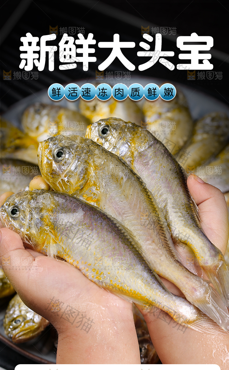 大头宝详情页