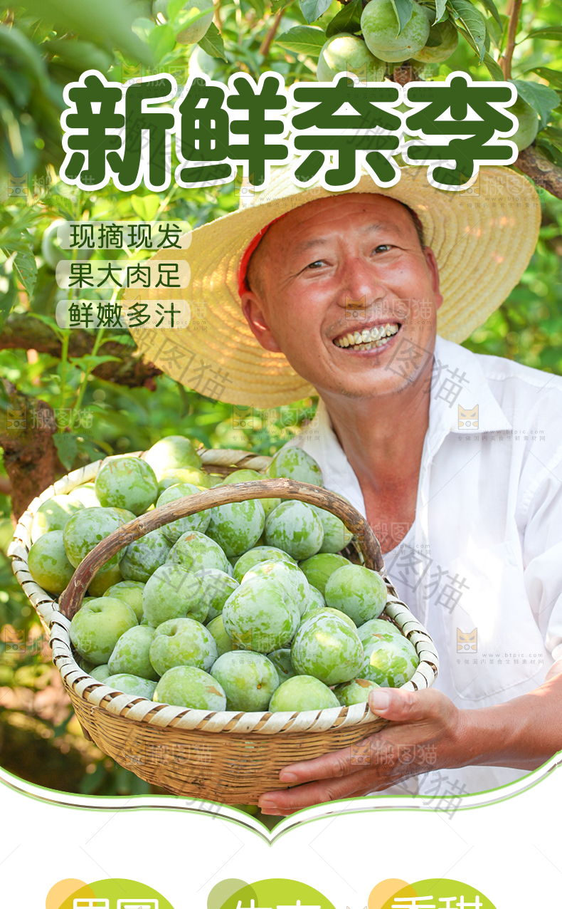 奈李详情页设计