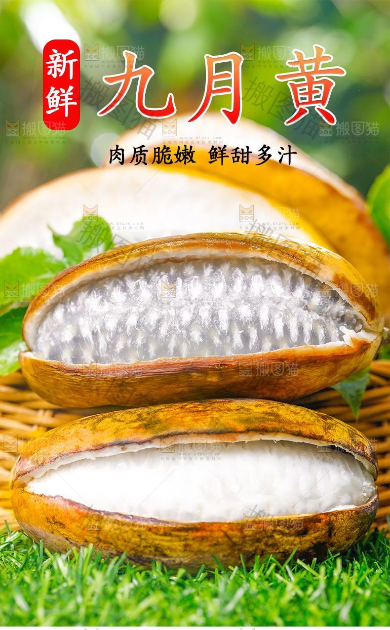九月黄详情页