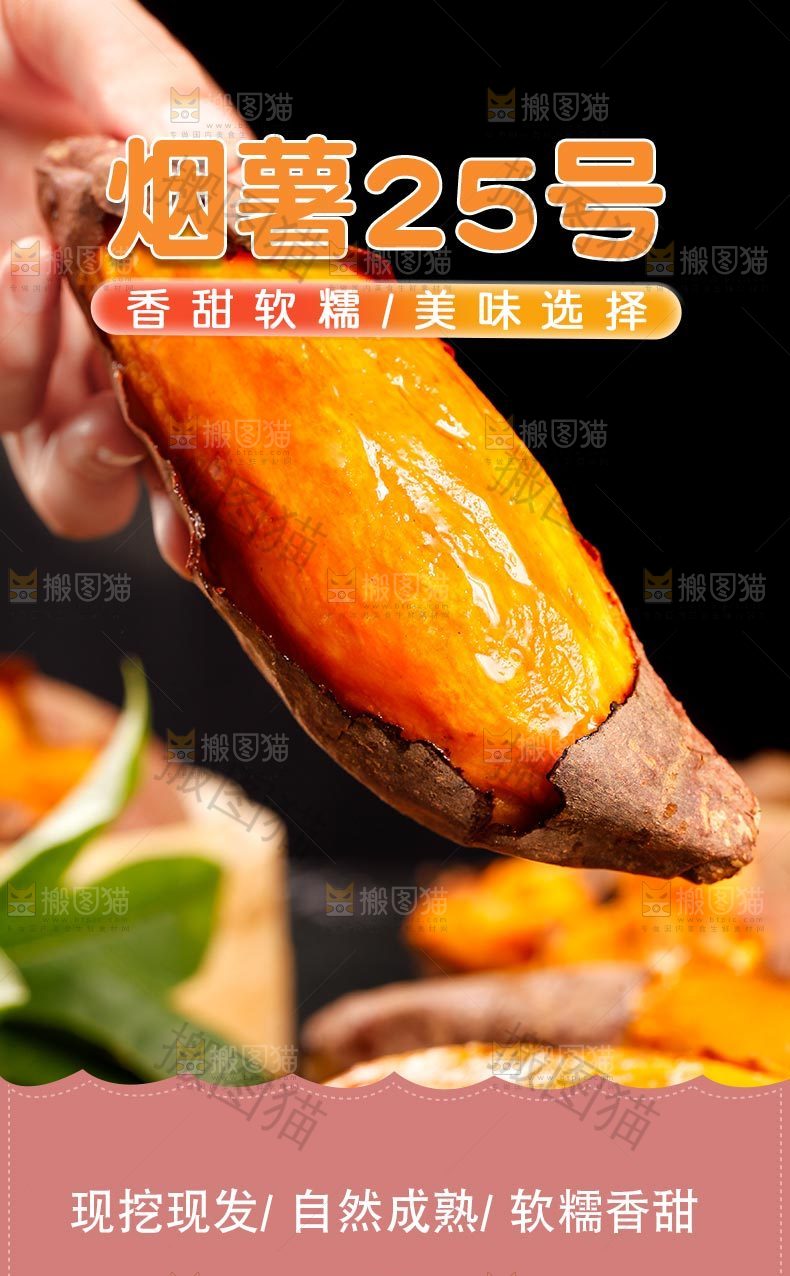 山东烟薯详情页