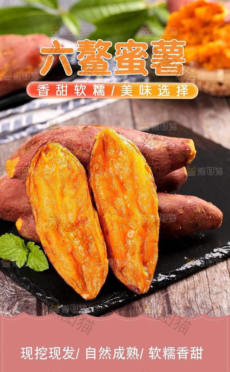 六鳌红蜜薯详情