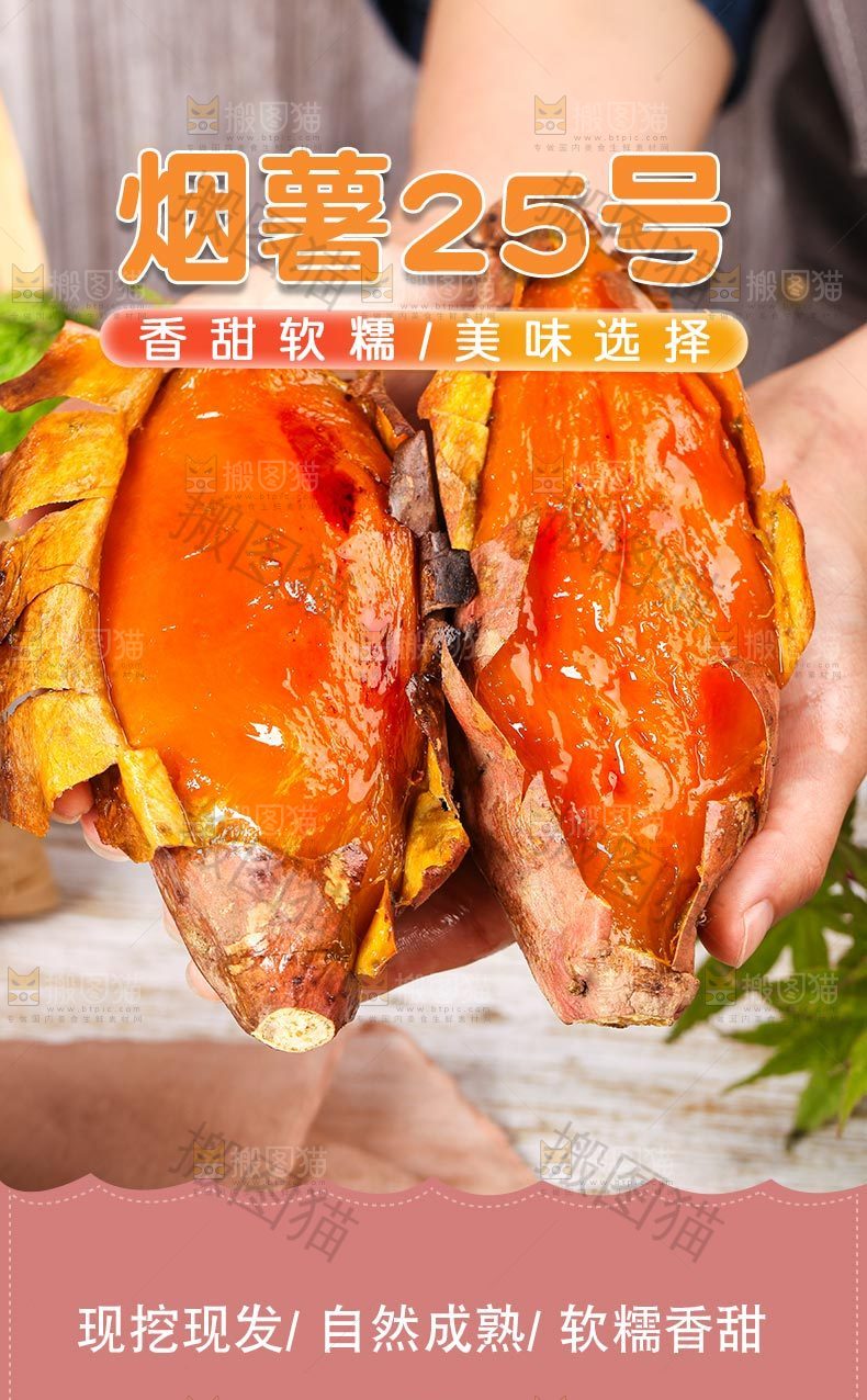 山东烟薯25号详情页