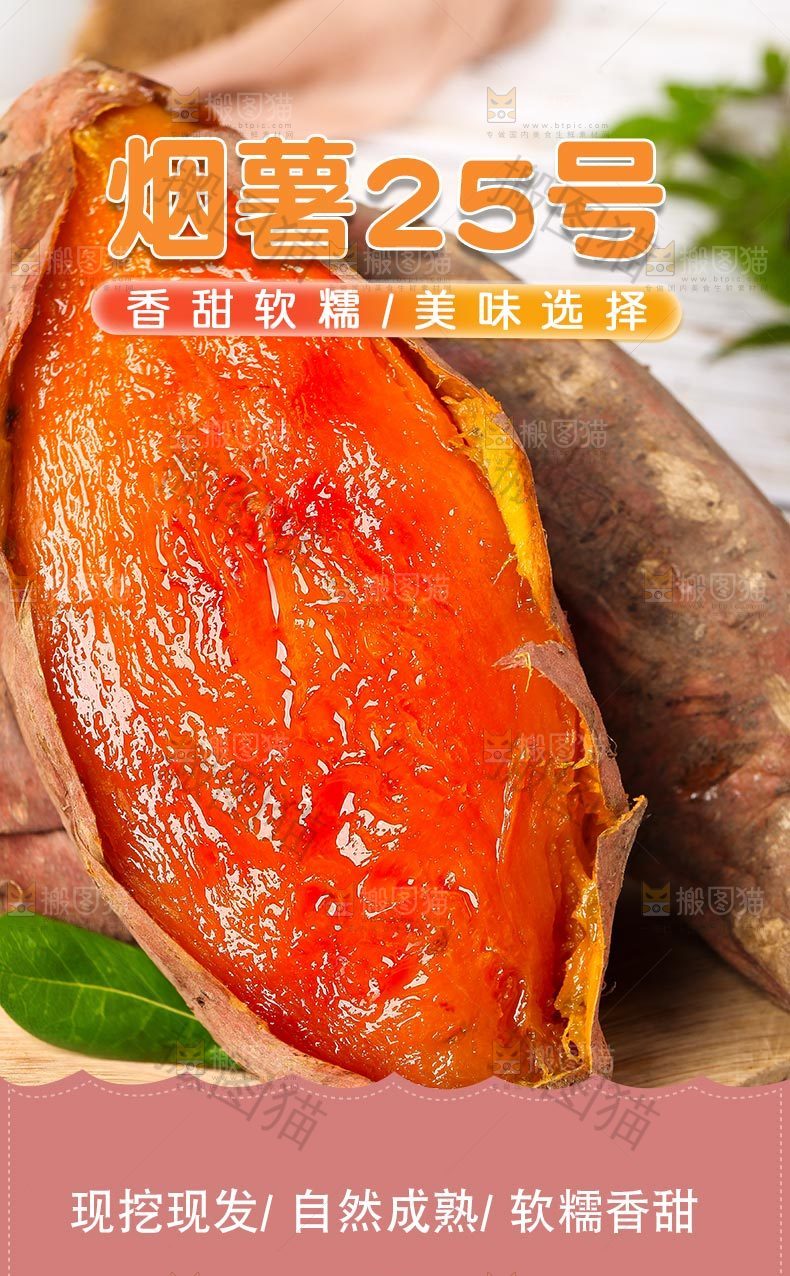 山东烟薯25号详情页