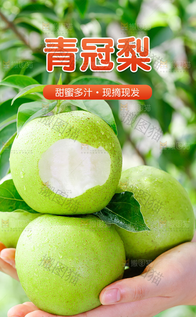 青冠梨详情页