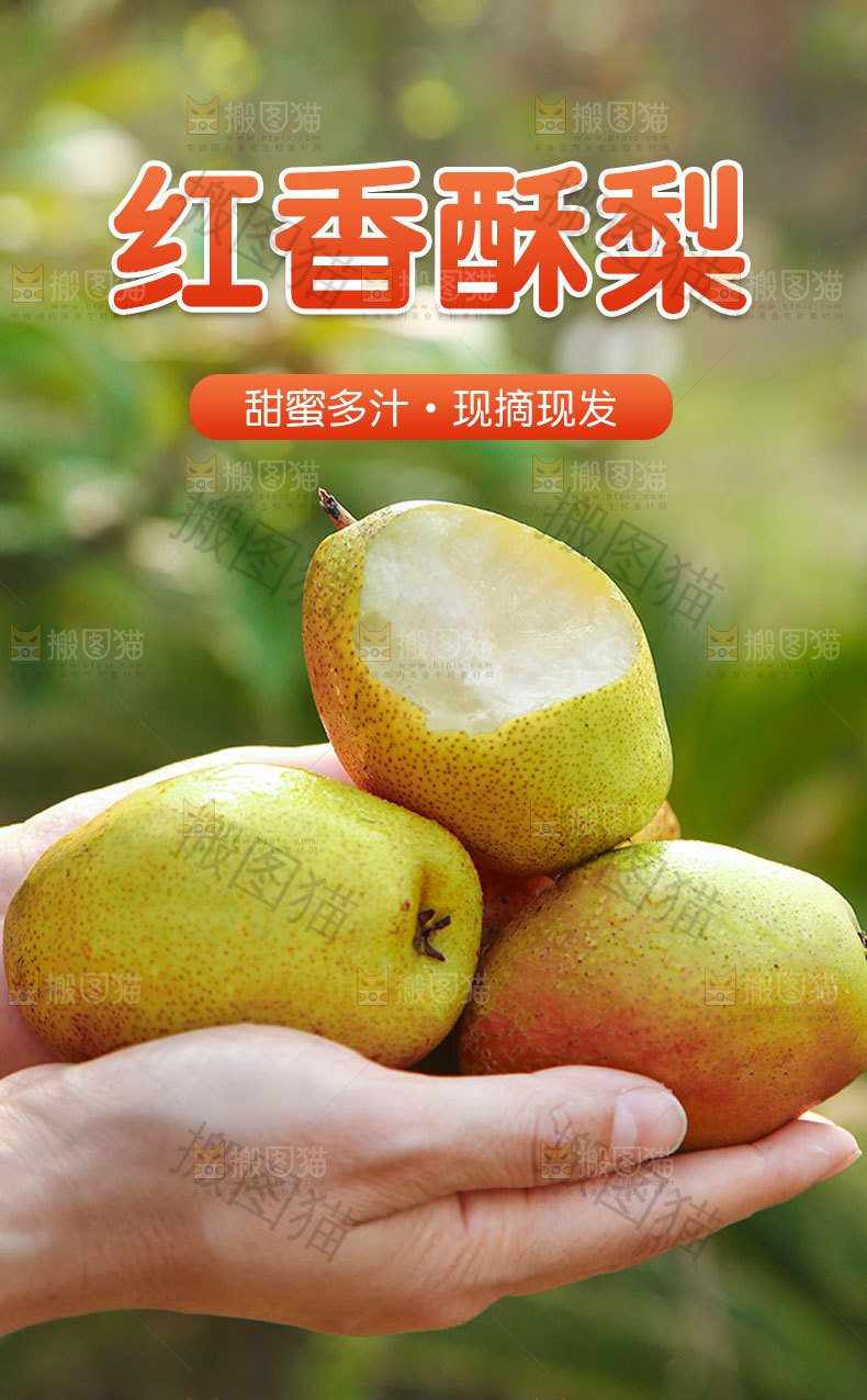 红香酥梨详情页