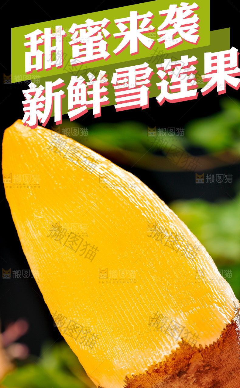 新鲜雪莲果详情页