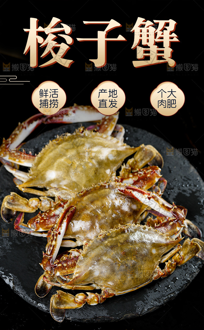 梭子蟹详情页设计