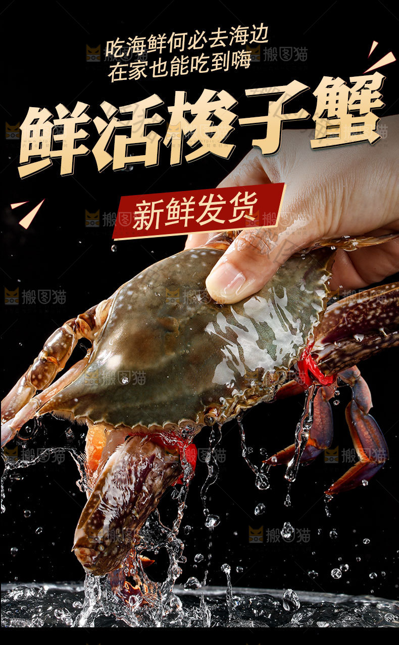 梭子蟹详情页