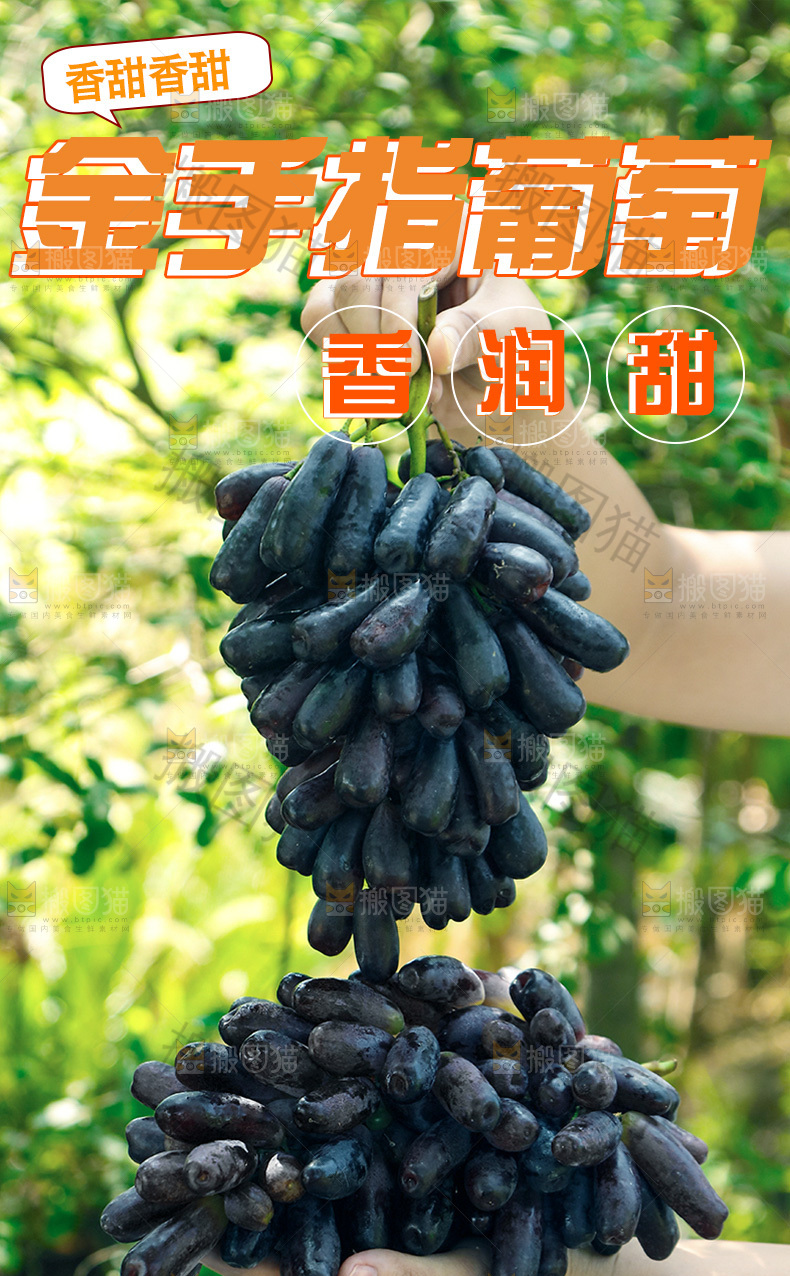 金手指葡萄详情页