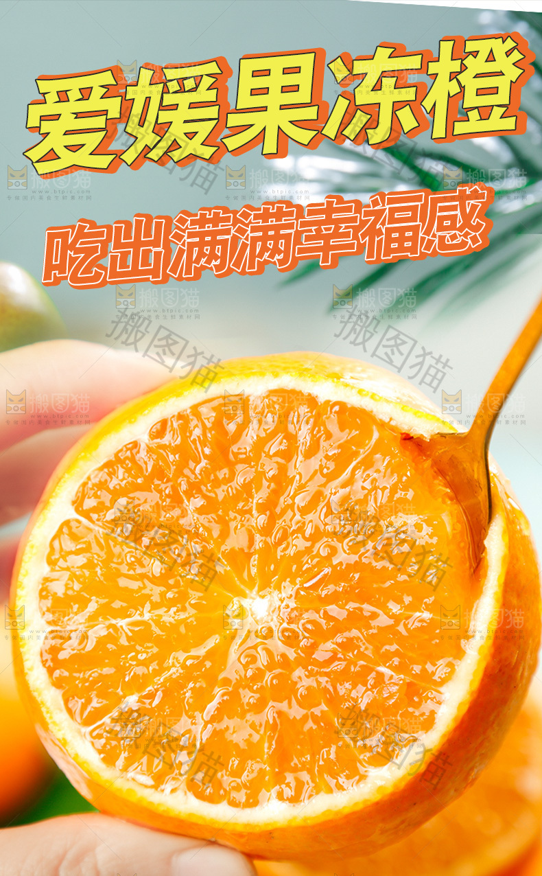 爱媛果冻橙详情页